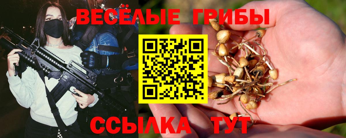 Галлюциногенные грибы ЛСД Шали